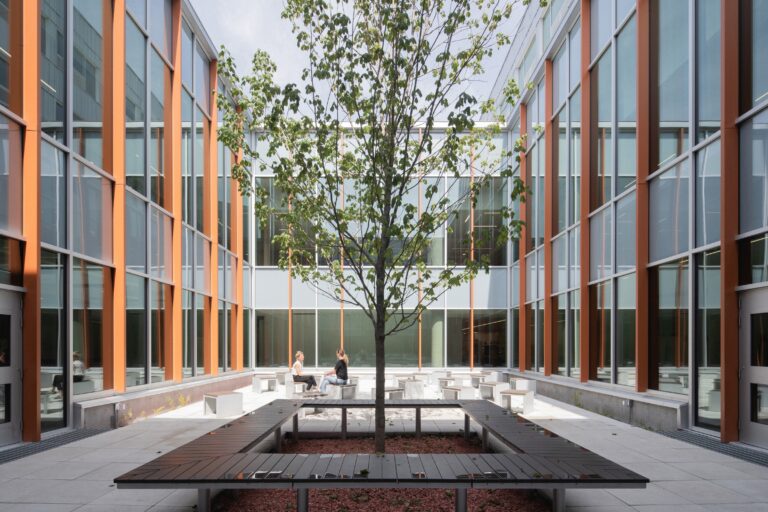 Interior courtyard with tree and glass walls school design